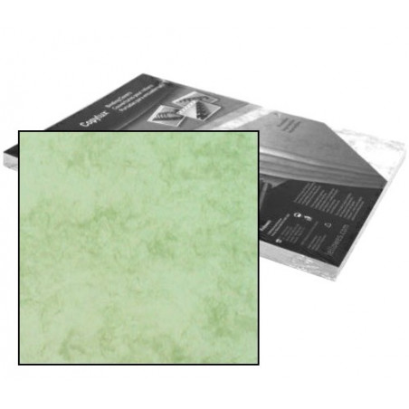 Dos de couvertures A4 Copylux 160g - VERT