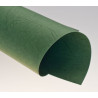 Dos de couvertures A4 Grain Cuir 250g - VERT FONCE
