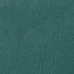 Couverture d'emboitage VERT CHASSE - Grain Cuir - Non rainée, à l'Italienne