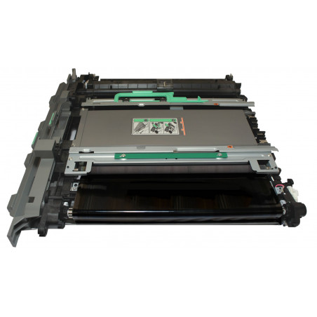 Courroie de Transfert - Transfert Belt