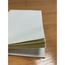 Recharge de 45 feuilles nettoyantes pour rouleau anti-poussiere 30cm