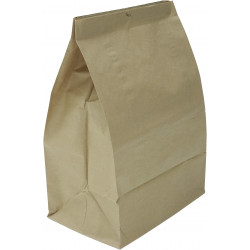 Sacs en papier kraft