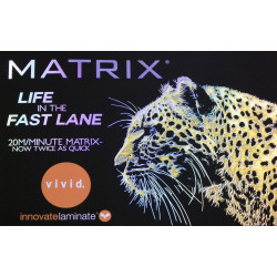 Pelliculeuse en continue MATRIX 370P