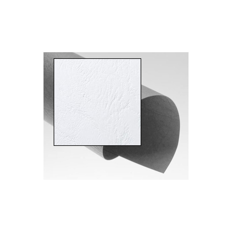 Dos de couvertures A3 Grain Cuir 240g - BLANC