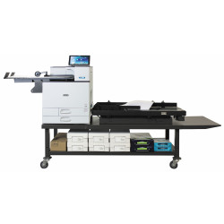 Imprimante Laser EN-PRESS