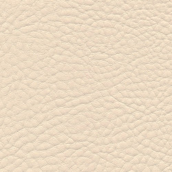 Couverture d'emboitage IVOIRE - Grain Cuir - Non rainée, à la Française