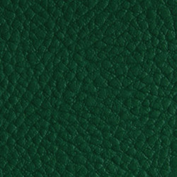 Couverture d'emboitage VERT - Grain Cuir - Non rainée, à la Française