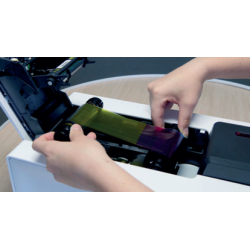 Ruban Couleur pour Primacy 2