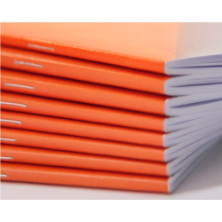 Agrafeuse - plieuse SF-500 EU