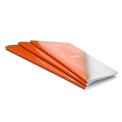 Agrafeuse - plieuse SF-500 EU